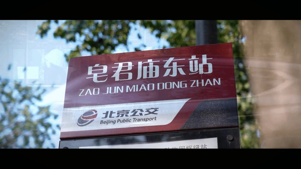 bv伟德国际194620周年视频